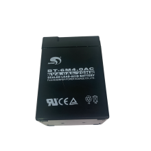 Cas SW Series Rechargable Battery